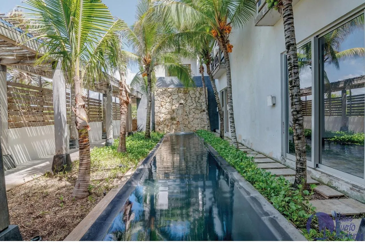 Апартаменты Casa Caleta 6 Bdrm With Amazing Private Beach Пуэрто-Авентурас